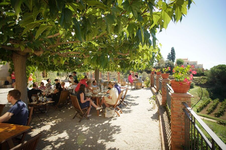 From Barcelona: Sailing and Wine Tasting Experience - Is $131 a fair price?