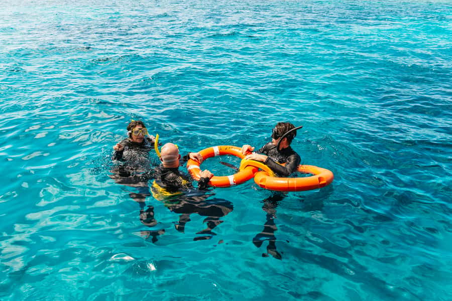 From Cairns: Great Barrier Reef Cruise by Premium Catamaran - A Buffet Lunch Between Reef Stops