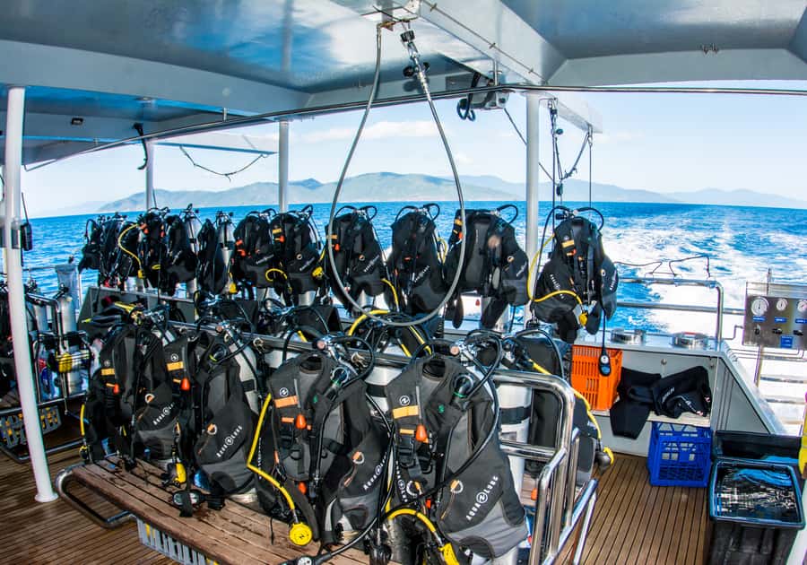 From Cairns: Great Barrier Reef Cruise by Premium Catamaran - Scuba Options for Beginners and Certified Participants