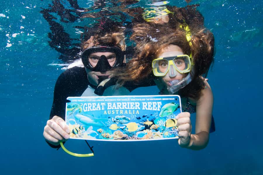 From Cairns: Great Barrier Reef Cruise by Premium Catamaran - Who Will Get the Most from This Trip