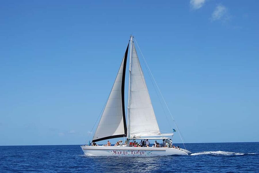 From Castries: Full-Day Catamaran Tour to Soufriere - Why this tour gives you a broad look at Saint Lucia