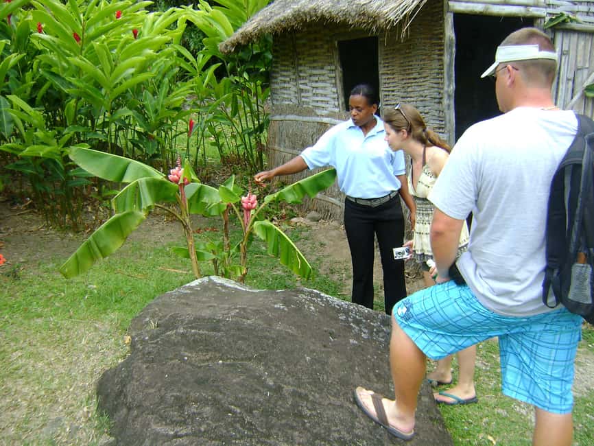 From Castries: Full-Day Catamaran Tour to Soufriere - Sulphur Springs: choose between mud and volcanic history