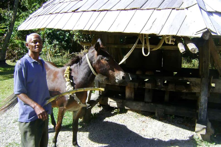 From Castries: Full-Day Catamaran Tour to Soufriere - The morning ride from Castries to Soufrière