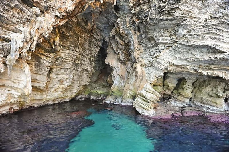 From Cefalù: Catamaran Excursion to Zingaro and Scopello - Zingaro Nature Reserve from offshore