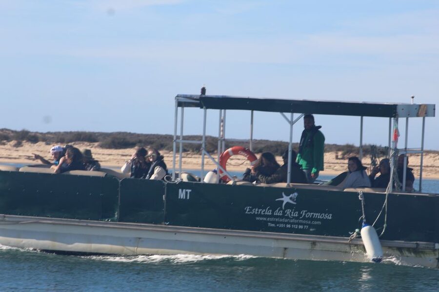 From Faro: 2-Island, 2-Stop Ria Formosa Catamaran Tour - Deserta Island and its 45-minute beach break