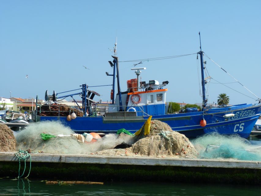 From Faro: 4 Stops, 3 Islands in Ria Formosa Catamaran Tour - Who should book this tour?