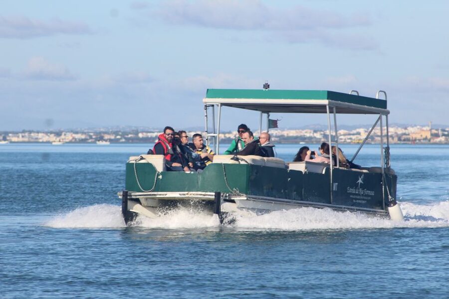 From Faro: 4 Stops, 3 Islands in Ria Formosa Catamaran Tour - Leaving Faro for the Ria Formosa