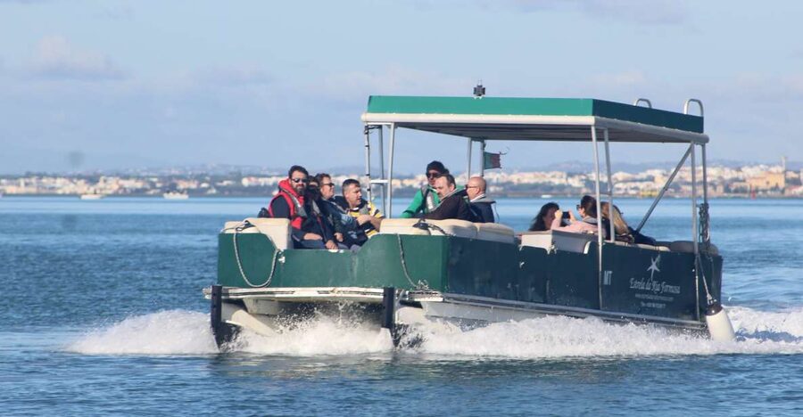From Faro: 4 Stops, 3 Islands in Ria Formosa Catamaran Tour - Ilha do Farol and its lighthouse village