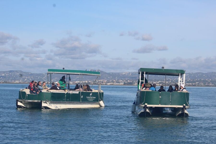 From Faro: 4 Stops, 3 Islands in Ria Formosa Catamaran Tour - Ilha Deserta: the first swim stop