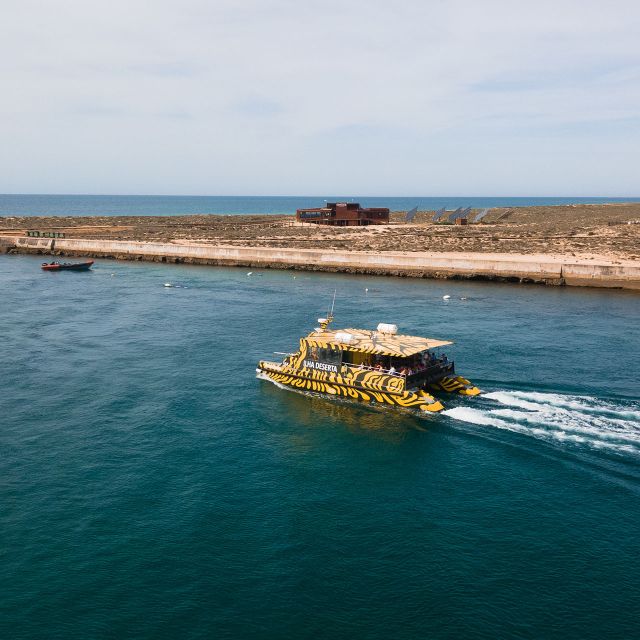 From Faro: Catamaran Boat Trip to Deserta Island with Stop - Key points at a glance