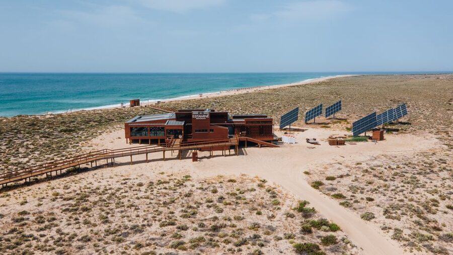From Faro: Catamaran Boat Trip to Deserta Island with Stop - What you see in Ria Formosa Natural Park