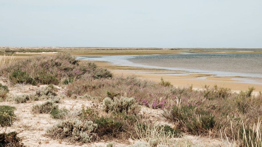 From Faro: Catamaran Boat Trip to Deserta Island with Stop - A practical beach day, not a fully serviced resort