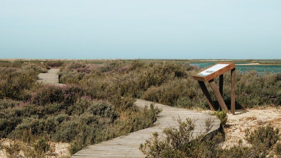From Faro: Catamaran Boat Trip to Deserta Island with Stop - Eating at Estaminé Restaurant