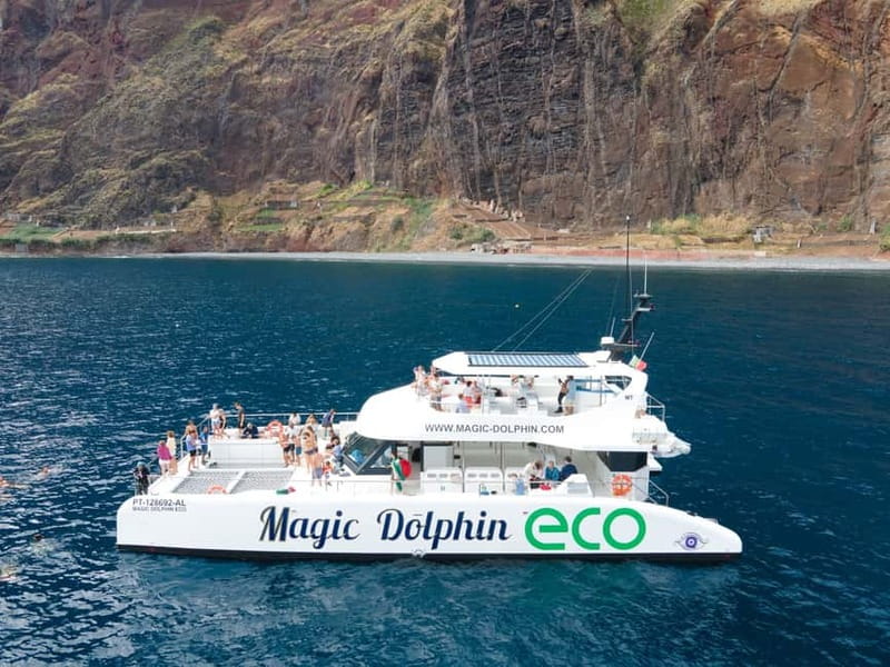 From Funchal: Ecological Catamaran Dolphin Whale Watching - Setting out from Funchal Marina