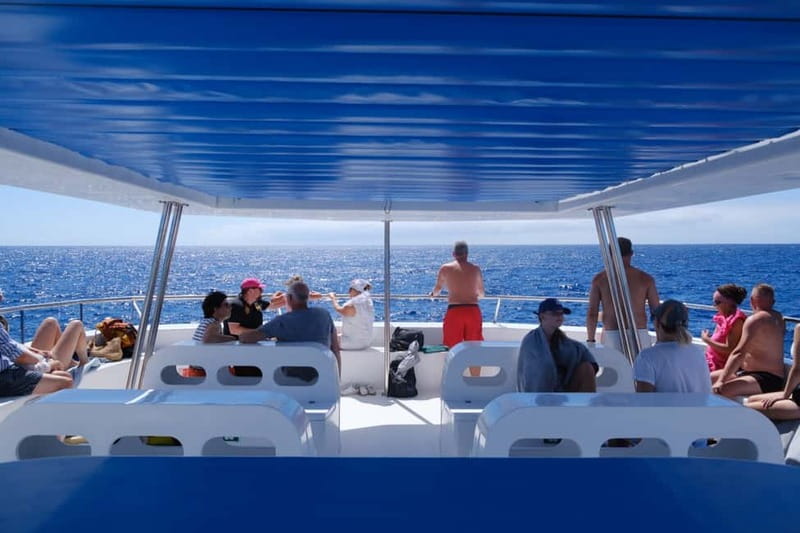 From Funchal: Ecological Catamaran Dolphin Whale Watching - Why the eco design matters