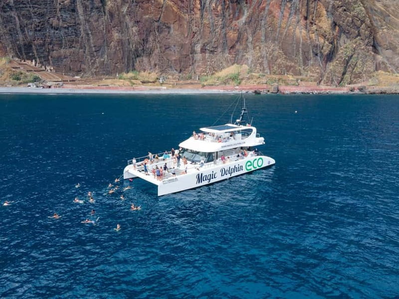 From Funchal: Ecological Catamaran Dolphin Whale Watching - How much value do you get for $41?