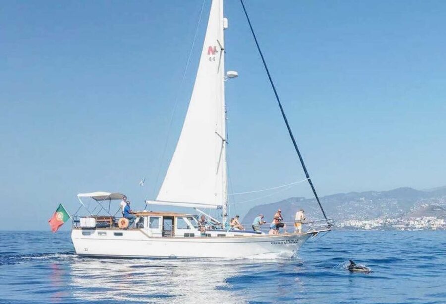 From Funchal: West Bays Sailing Tour with Lunch - Searching for dolphins, whales, and turtles