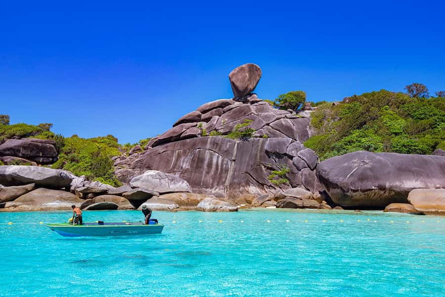 From Khao Lak: Similan Islands Day Trip by Luxury Catamaran - Food, service, and the return to Khao Lak