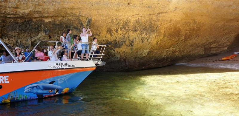 From Lagos: Benagil Caves Catamaran Cruise - Key points at a glance