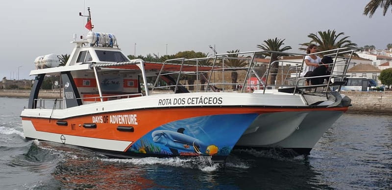 From Lagos: Benagil Caves Catamaran Cruise - Practical booking advice