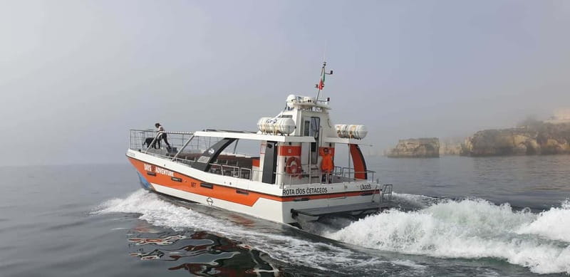 From Lagos: Benagil Caves Catamaran Cruise - Seeing Benagil Cave from the water