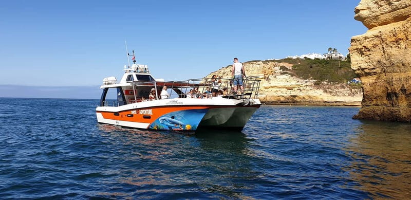From Lagos: Dolphin Watching Catamaran Cruise - Searching for dolphins off Lagos