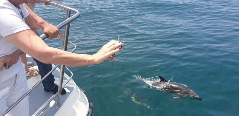From Lagos: Dolphin Watching Catamaran Cruise - Price, comfort, and overall value