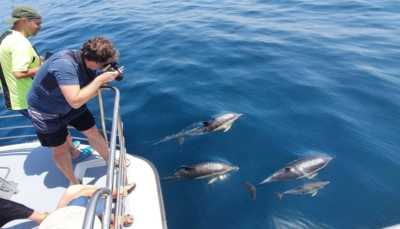 From Lagos: Dolphin Watching Catamaran Cruise - Who will enjoy this cruise most
