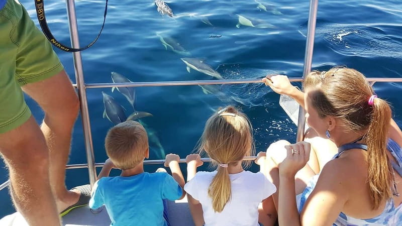 From Lagos: Dolphin Watching Catamaran Cruise - What the catamaran feels like on the water
