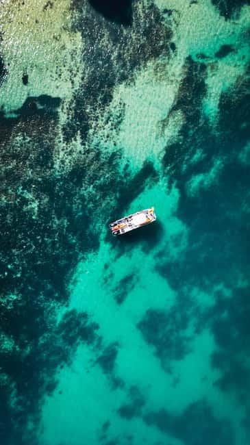 From Lagos: Ponta da Piedade Caves Kayak Tour from Catamaran - From Lagos Marina to the cliffs of Ponta da Piedade