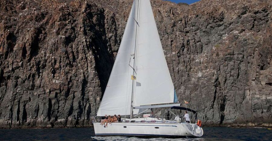 From Los Gigantes: Whale Watching Sailboat Cruise - Key points at a glance