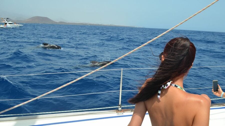 From Los Gigantes: Whale Watching Sailboat Cruise - Tapas, drinks, and a welcome finish