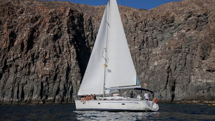 From Los Gigantes: Whale Watching Sailboat Cruise - Who will enjoy this trip most?