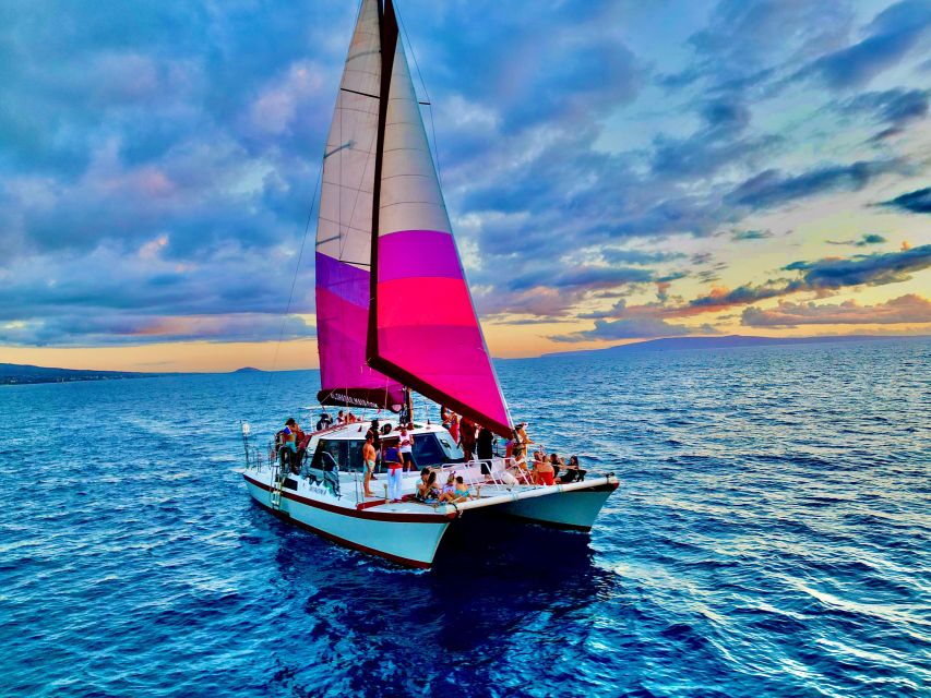 From Maalaea: Whale Watching Catamaran Cruise with Drinks - Key details before you book
