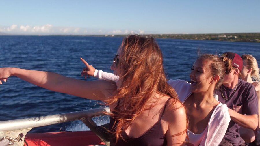 From Maalaea: Whale Watching Catamaran Cruise with Drinks - Who will get the most from this cruise