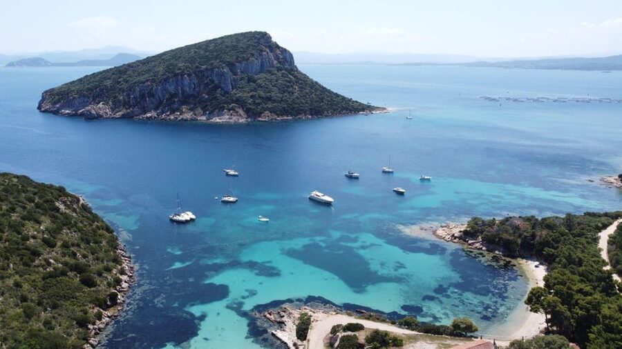 From Olbia: Tavolara or Cala Moresca Catamaran Tour - Sardinian food, wine, and the pace of lunch