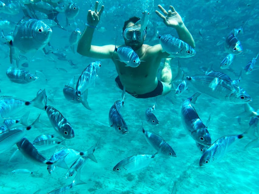 From Palau: La Maddalena Archipelago Catamaran Tour w/ Lunch - Swimming and snorkeling in clear Sardinian water