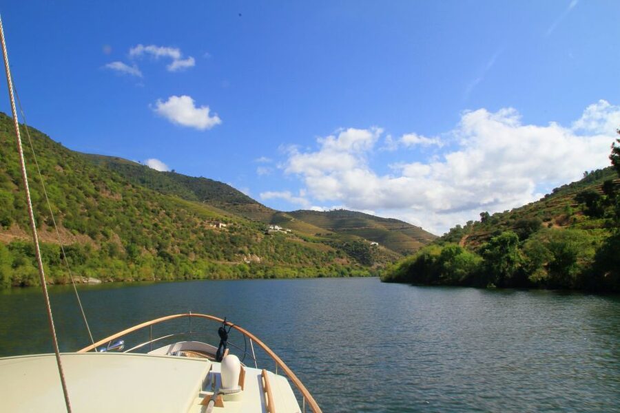 From Pinhão: Private Yacht Cruise along the Douro River - Who Will Enjoy This Cruise Most?
