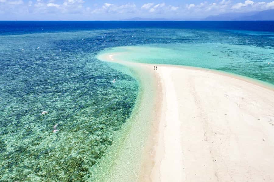 From Port Douglas: Outer Reef Cruise by Luxury Catamaran - Lunch on board, with room to slow down