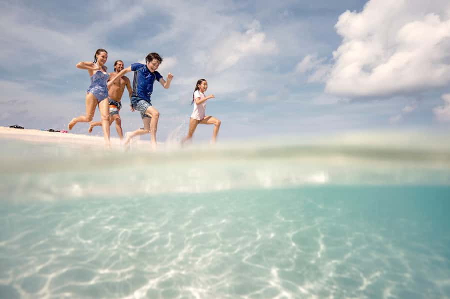 From Port Douglas: Outer Reef Cruise by Luxury Catamaran - A reef talk before the first swim