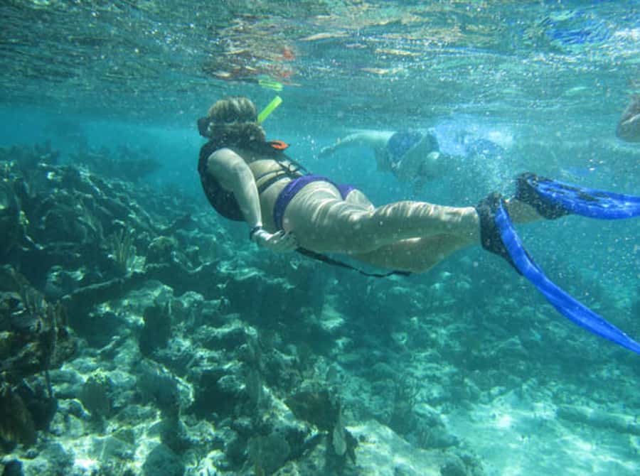 From Puerto Aventuras: Share Catamaran Tour - Price, Extra Fees, and Overall Value