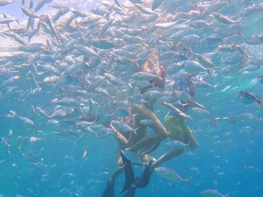 From Punta Cana: Catalina Island Swim, Sail & Snorkel - Lunch, drinks, shade, and the small practical details