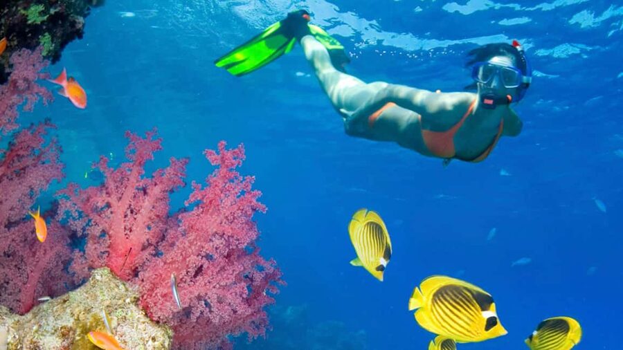 From Punta Cana: Catalina Island Swim, Sail & Snorkel - The snorkeling stop at the Caribbean Sea Coral Reef Wall