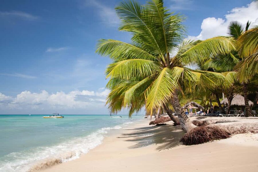 From Punta Cana: Catamaran Tour to Saona Island with Open Bar and Buffet - Why this Saona Island day trip works