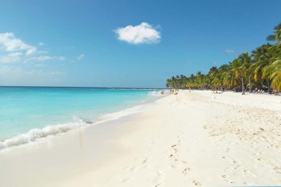 From Punta Cana: Catamaran Tour to Saona Island with Open Bar and Buffet - Who should book this tour?