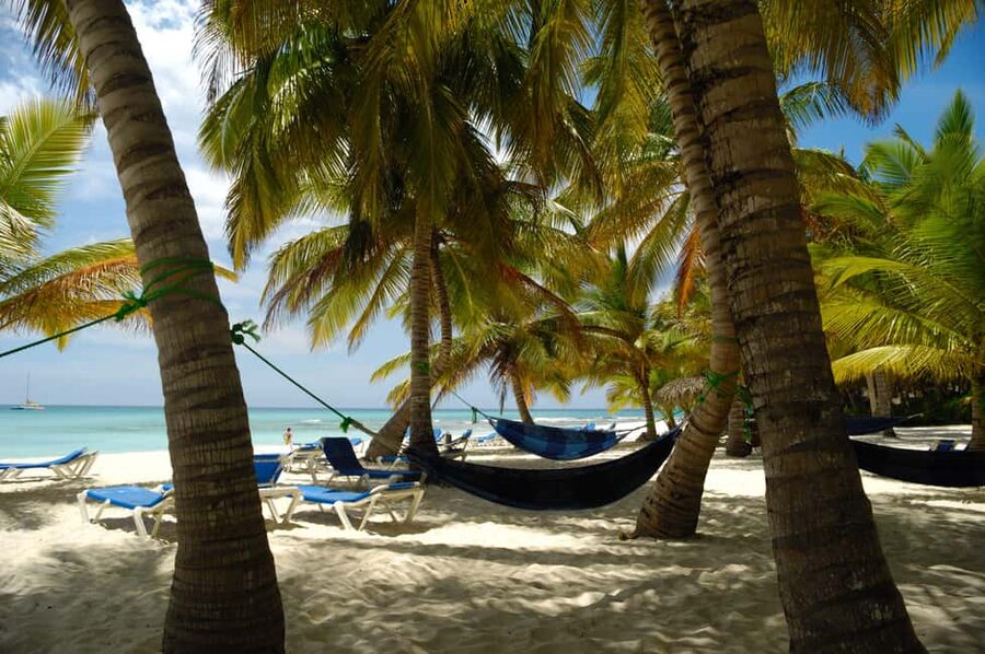 From Punta Cana: Catamaran Tour to Saona Island with Open Bar and Buffet - Should you book the Saona Island catamaran tour?