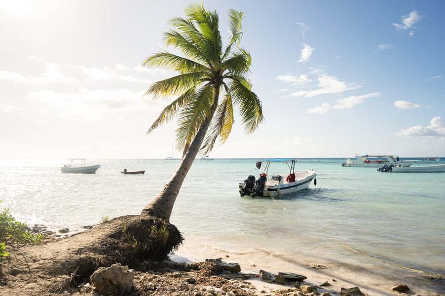 From Punta Cana: Catamaran Tour to Saona Island with Open Bar and Buffet - The natural pool stop is more than a quick photo break