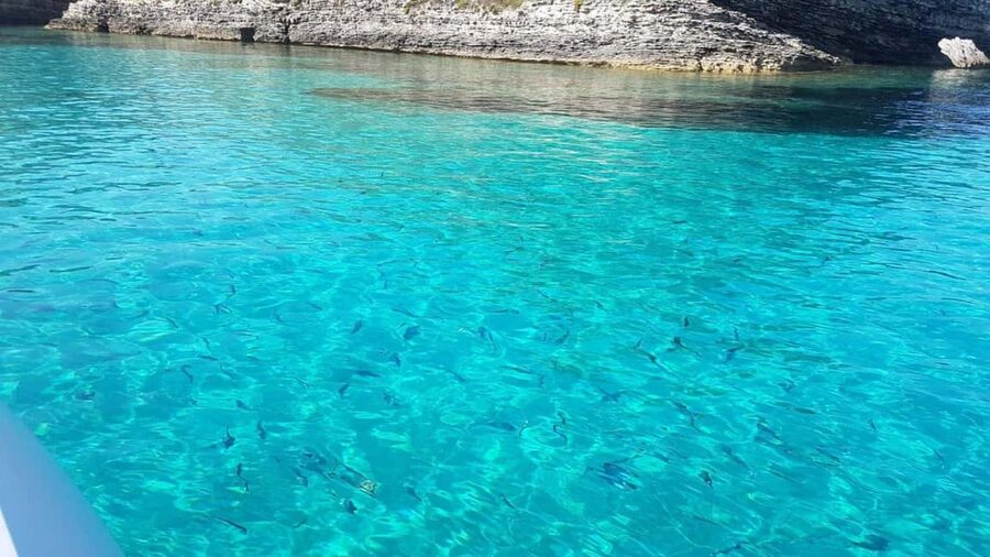 From Santa Teresa: Sailboat Tour to Corsica with Lunch - The value of $125 for eight hours