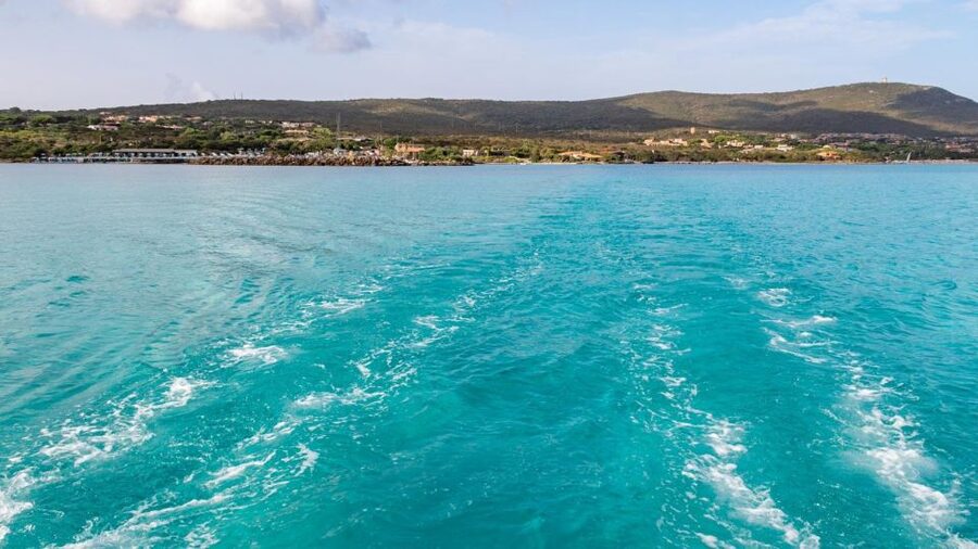 From Stintino: Catamaran tour to Asinara Island - Who should book this Stintino boat tour?