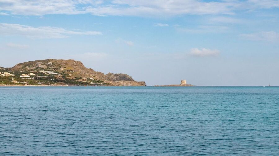 From Stintino: Catamaran tour to Asinara Island - Price and value at $134.81 per person